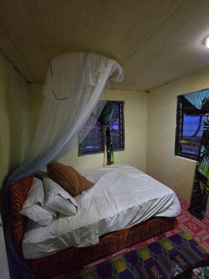 Mumma Loii's Fijian Village Homestay - 2