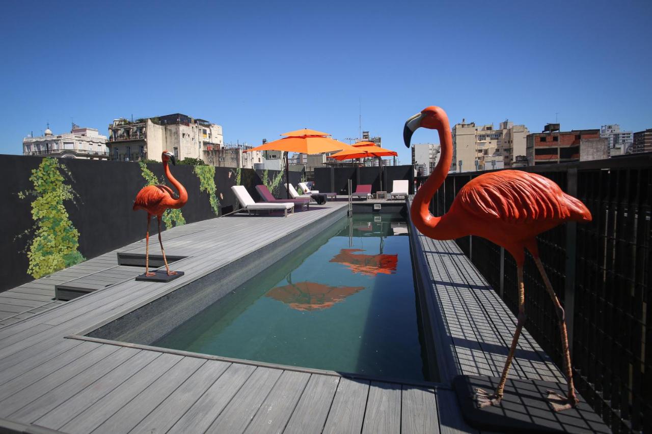 Anselmo Buenos Aires, Curio Collection by Hilton - 4