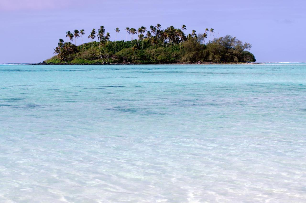 Nautilus Resort photo