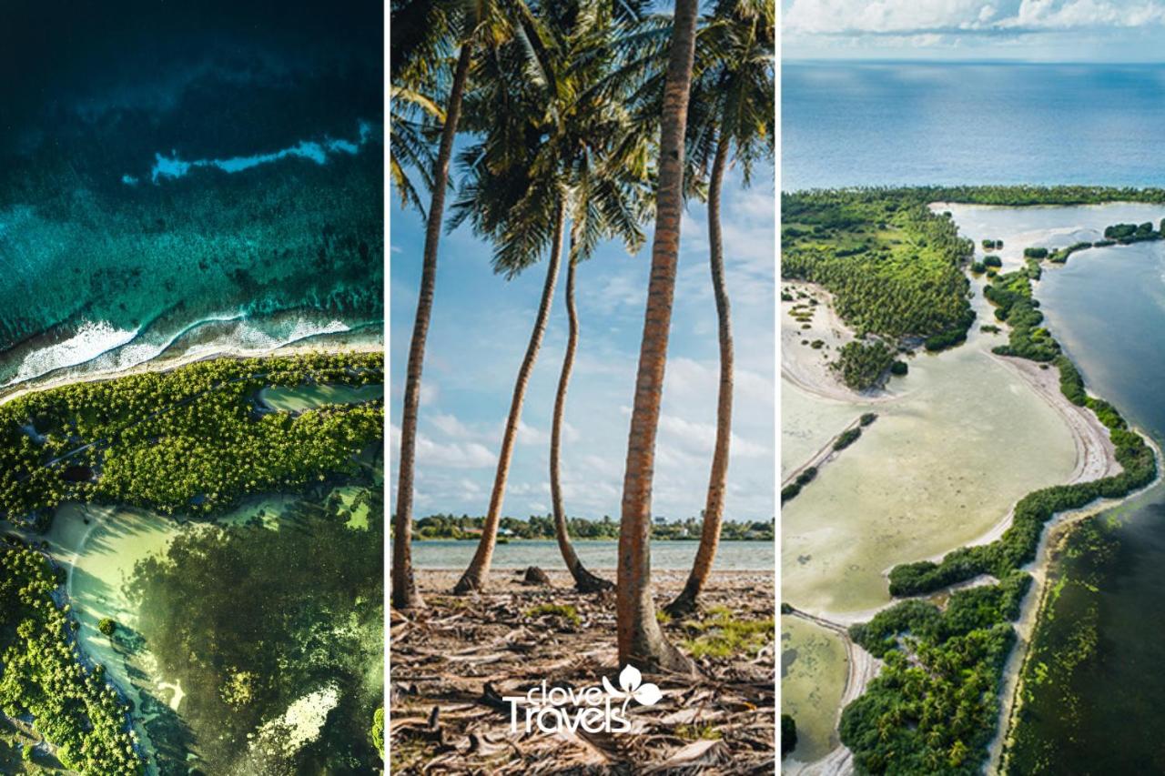 Clove Stay by Clove Travels - 5