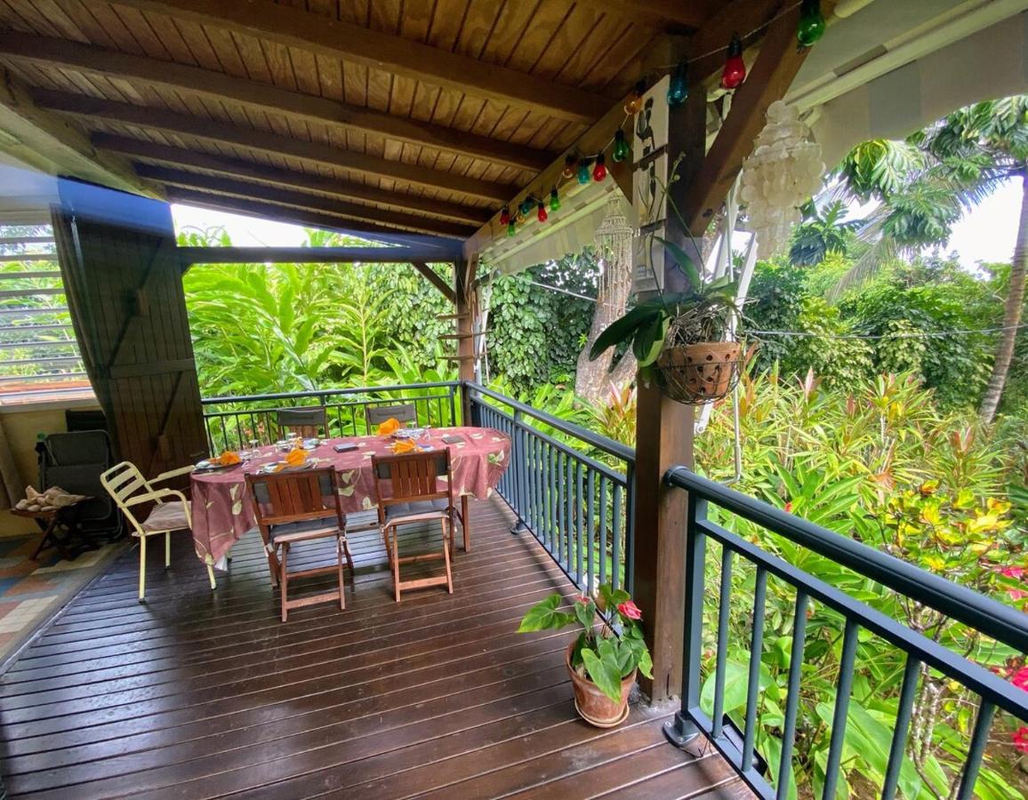 Maison Simon Lamentin jardin tropical - 4