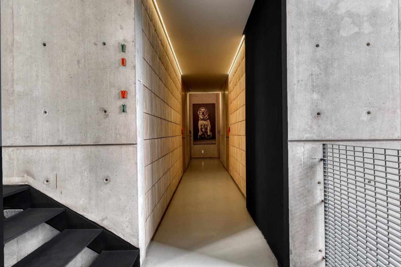 Boga Mexico City by Lumina - 4