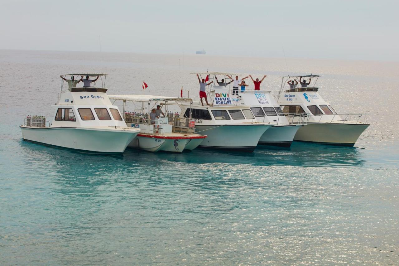 Divi Flamingo Beach Resort photo