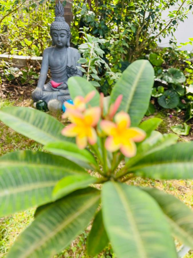 Small Room - FLAMINGA'S PLACE - 4