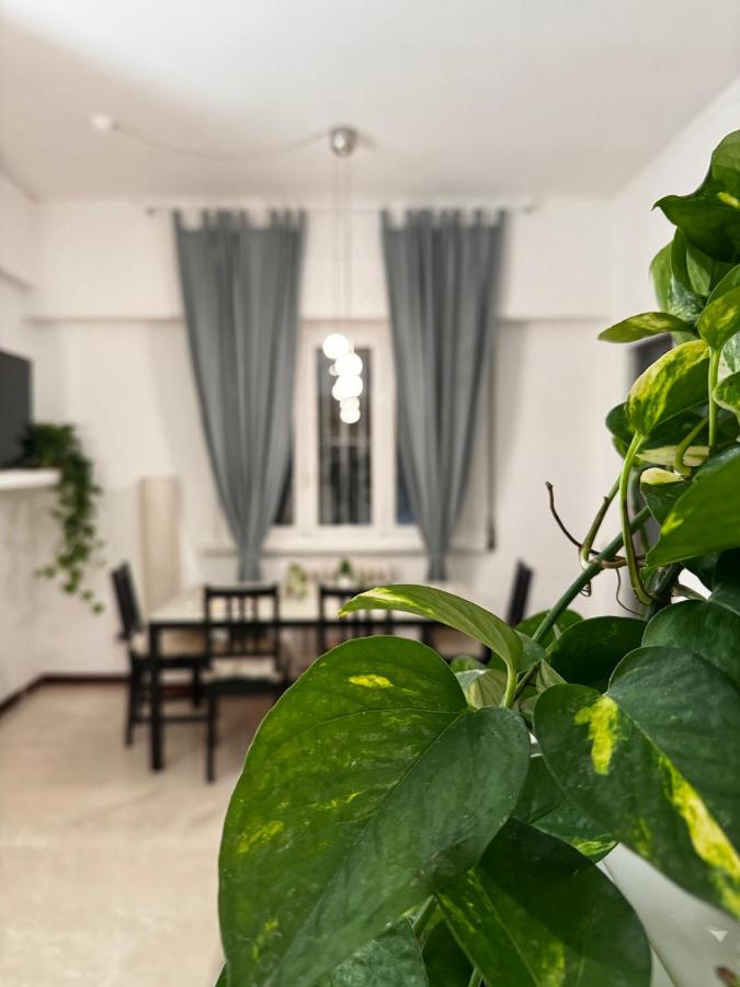 Casa verde di Mia - 4