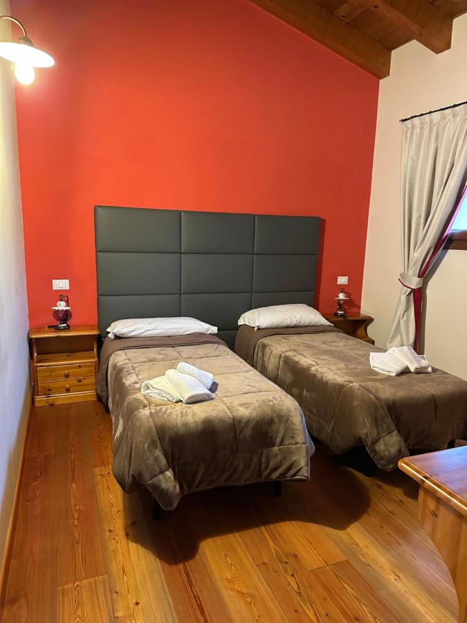 La corte dell'ulivo - 3