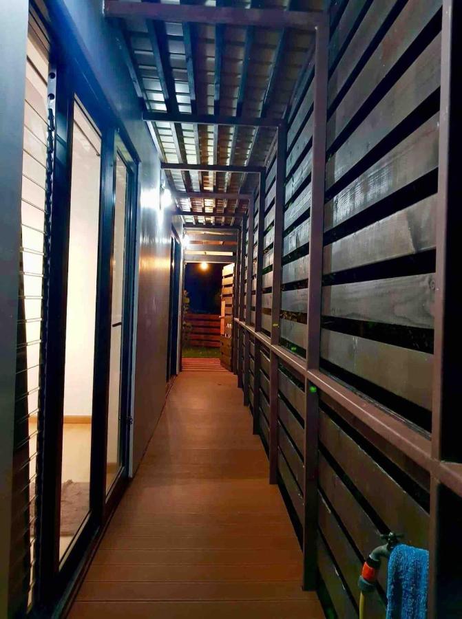 Suite au milieu des arbres - 4