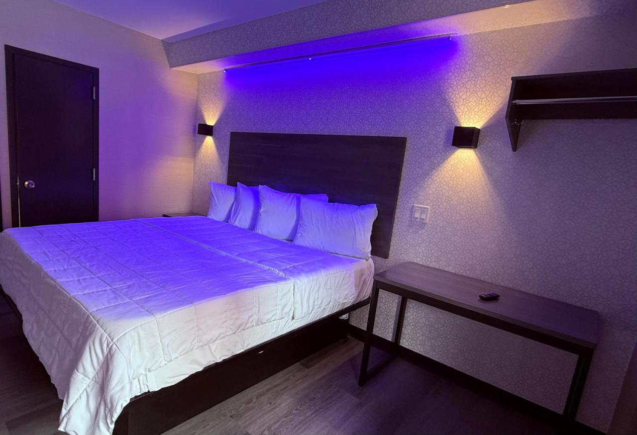 The Vine Hotel Bronx New — photo 17