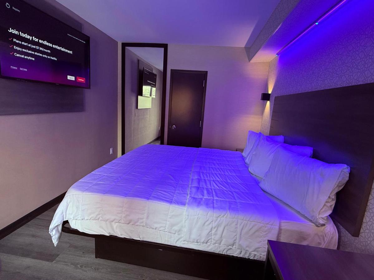 The Vine Hotel Bronx New — photo 19