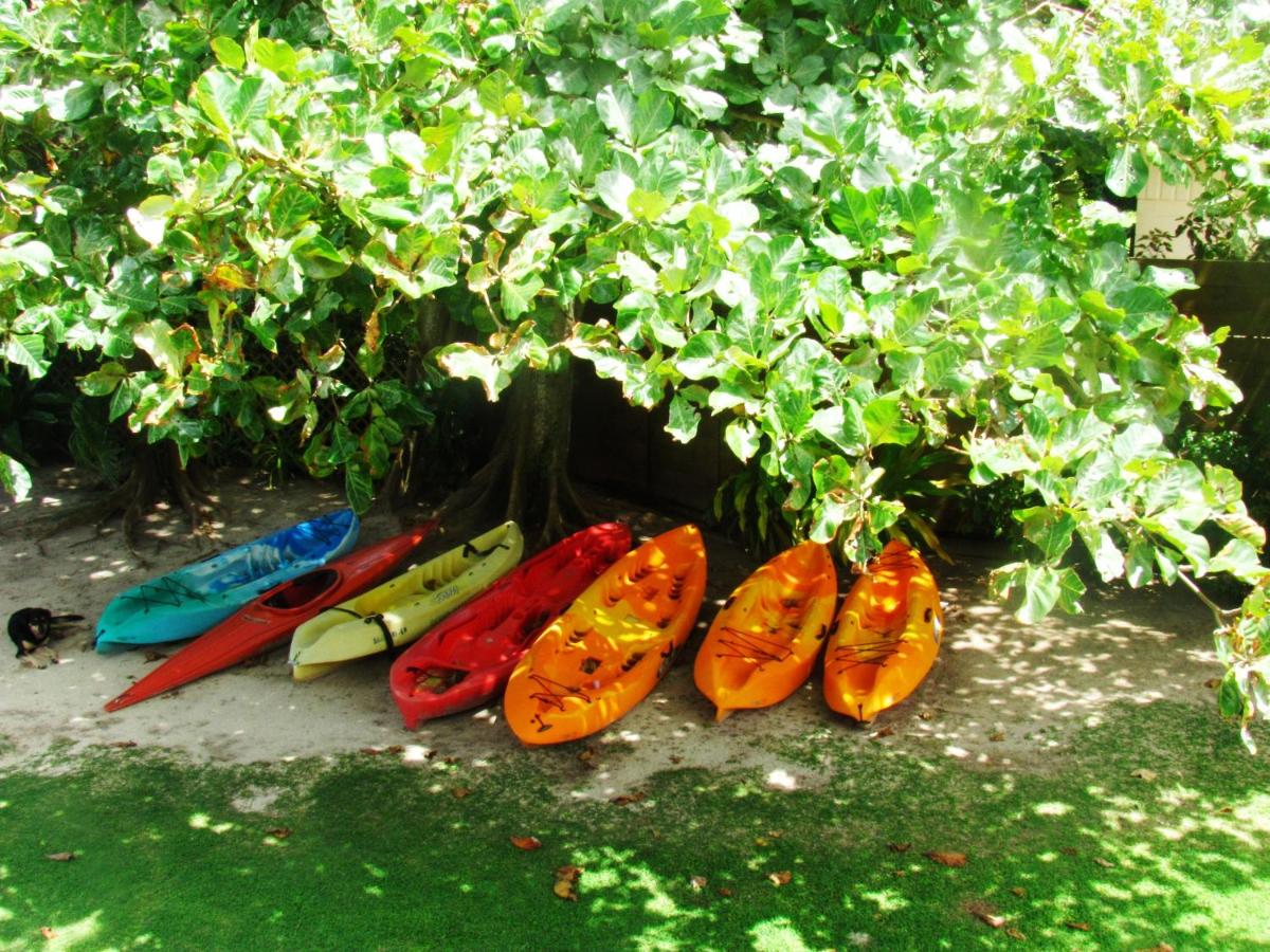 Muri Beach Resort photo
