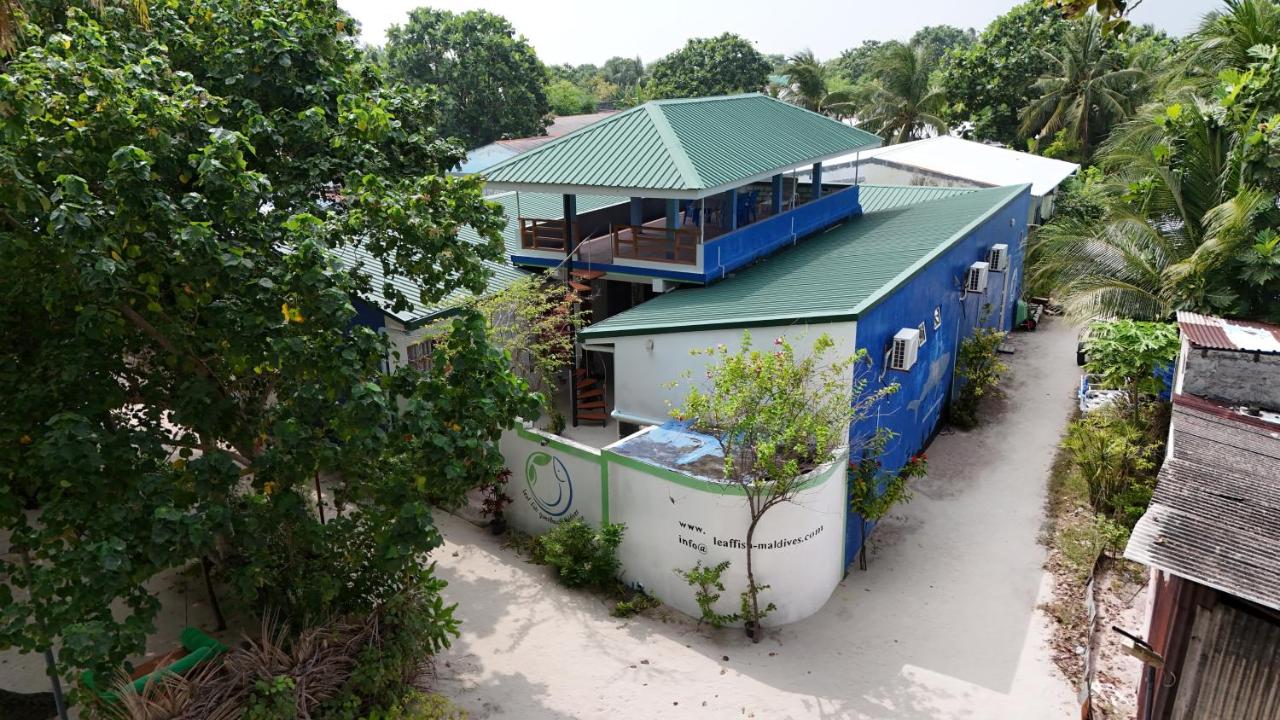 Leaf fish guesthouse Maldives