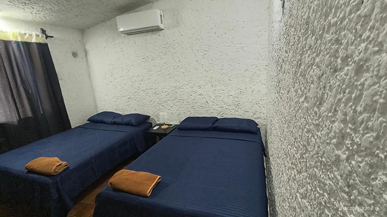 Casa kyomi - 3