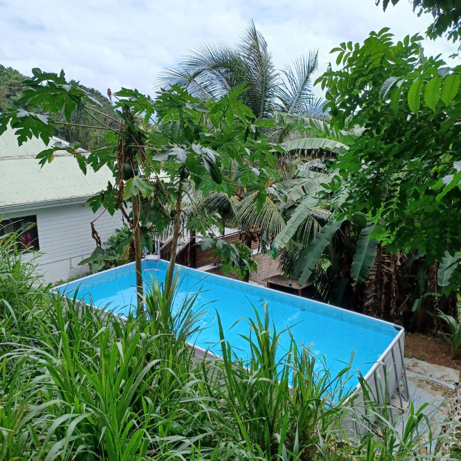 villa timokei piscine et jacuzzi - 4