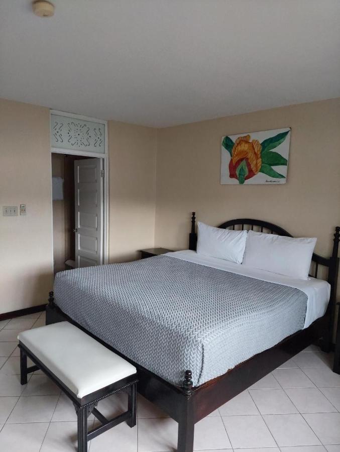 SoJo's Sandy Toes Santuary - 2