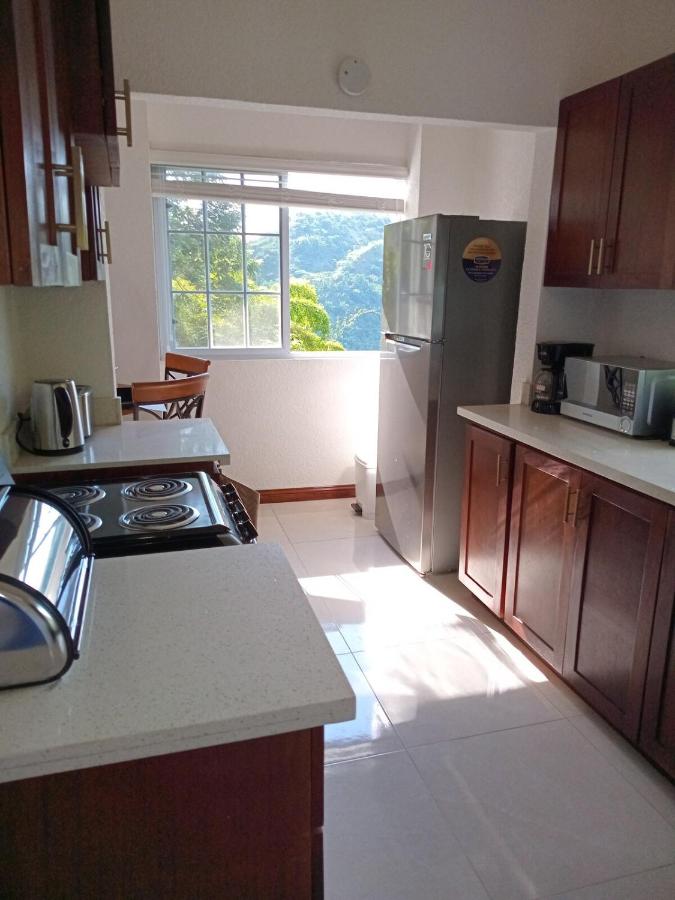 Gorgeous 1 Bedroom Apartment in the Kingston Hills - 4