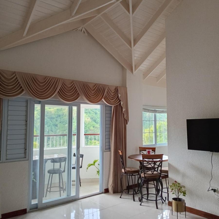 Gorgeous 1 Bedroom Apartment in the Kingston Hills - 5