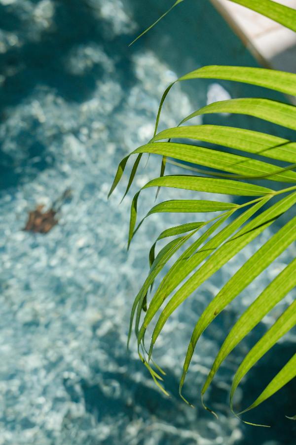 Treetop 2 - Scenic Bingin villa w master loft & sunrise views - 3