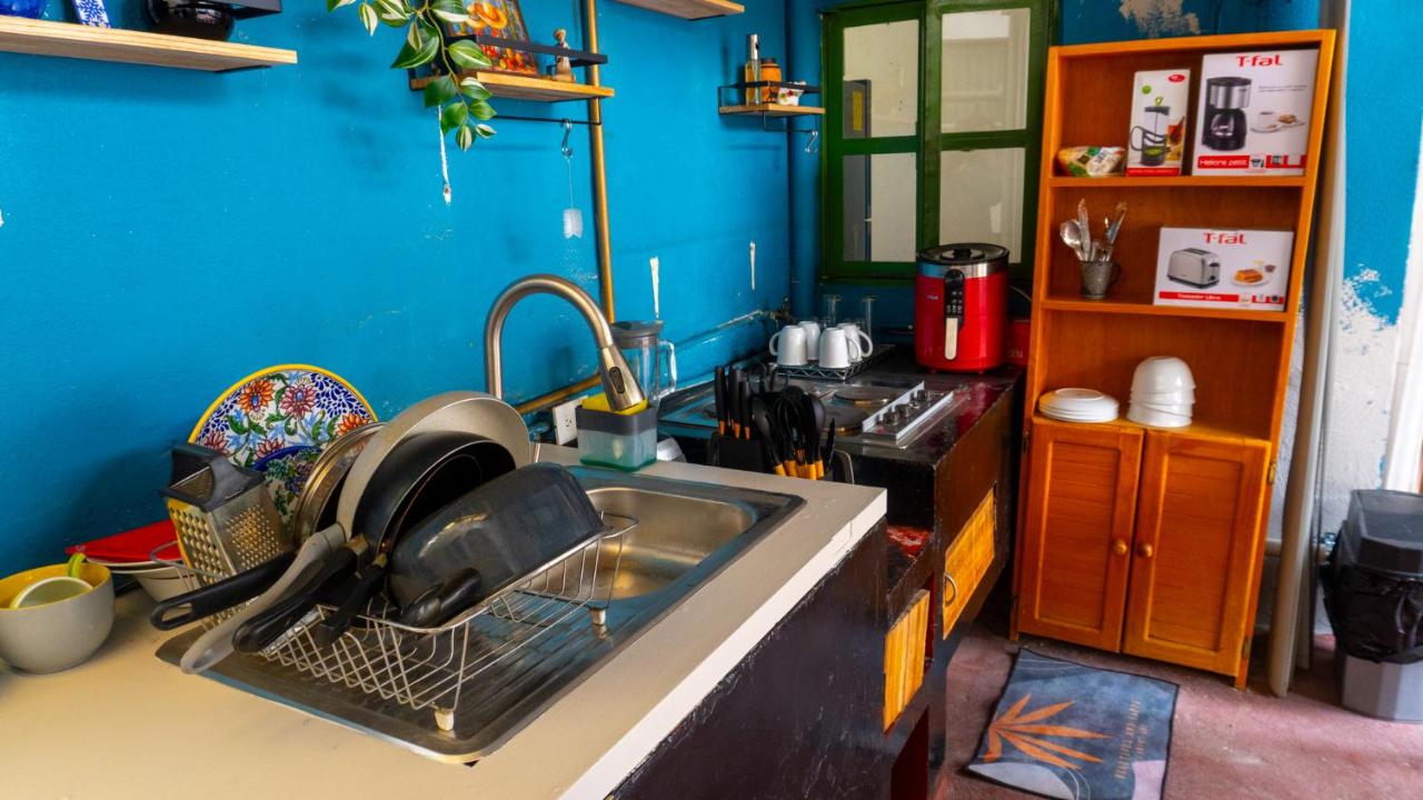 Charming 2BR Vintage Terrace in Condesa - 2