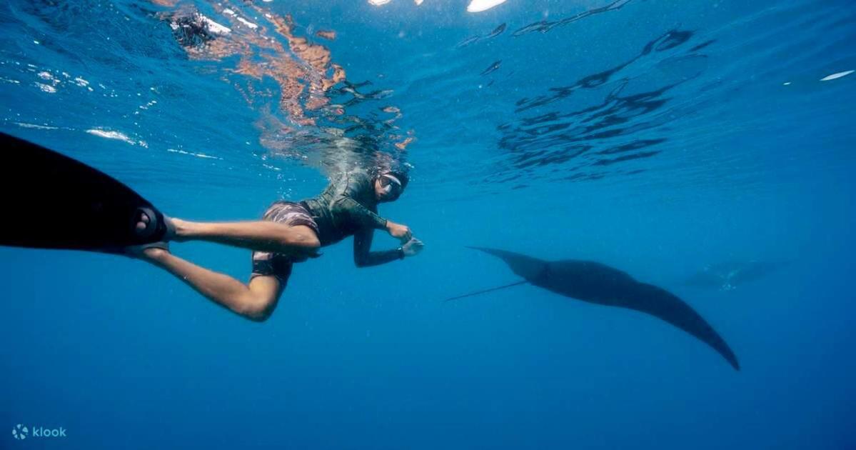 Village Life Experience - Naviti Island - 3