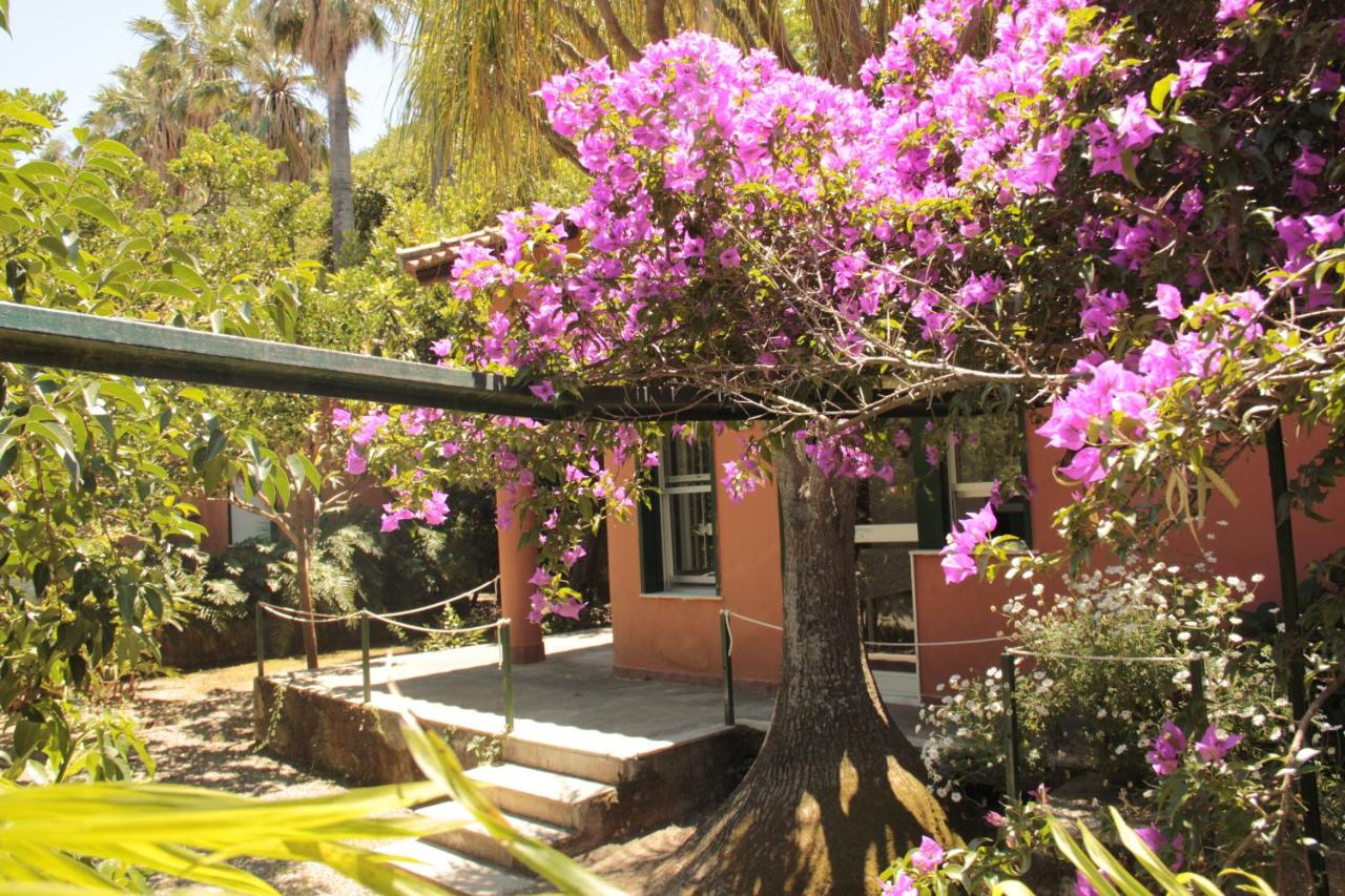 Le Palme Garden photo