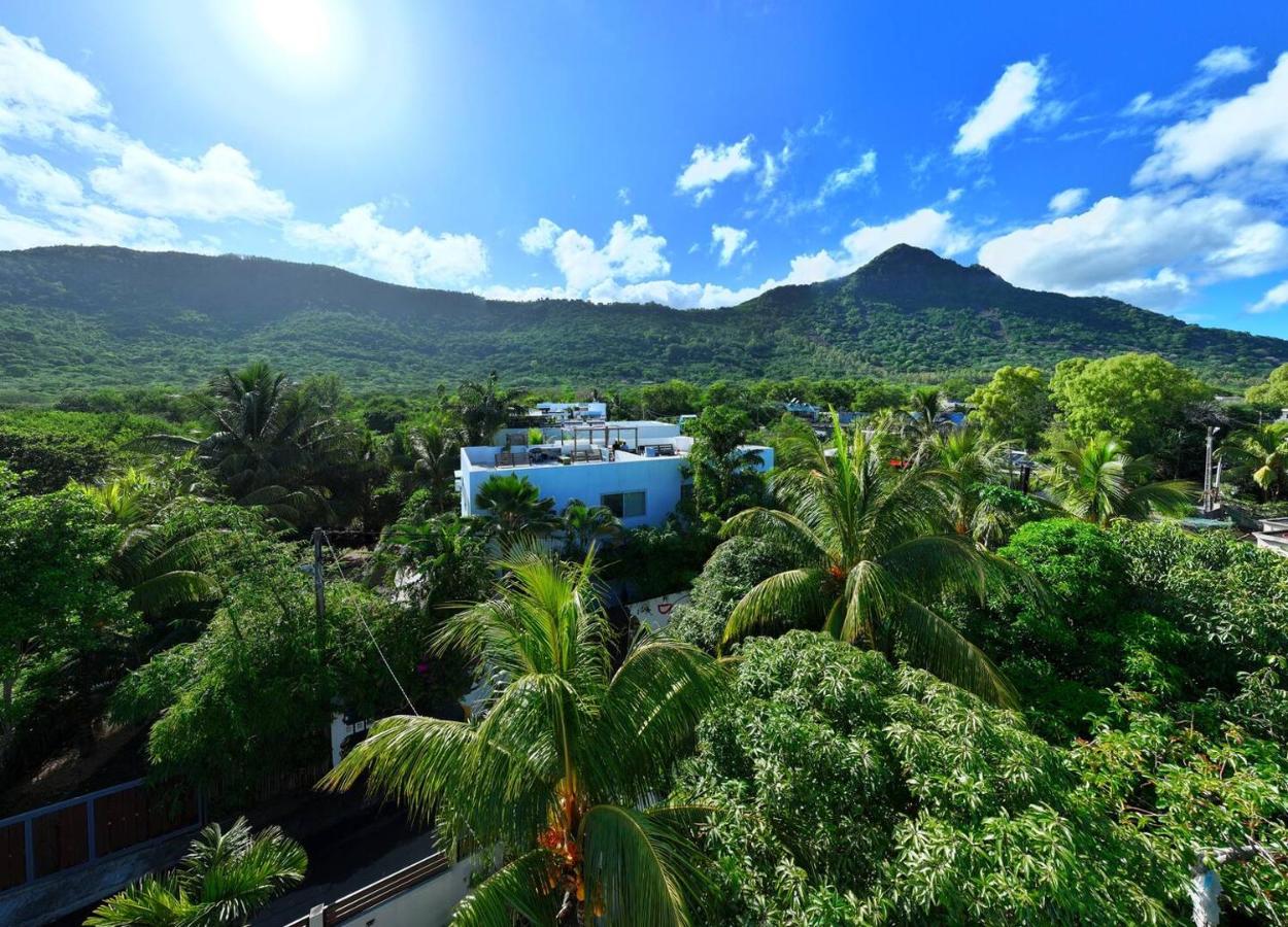 LouKaz -Entire Rental Units w Panoramic Rooftop - 3