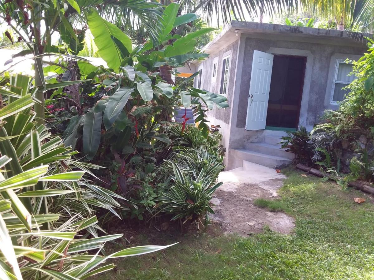 Port Antonio Brian's Beach House - 4