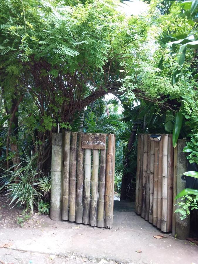 Port Antonio Brian's Beach House - 2