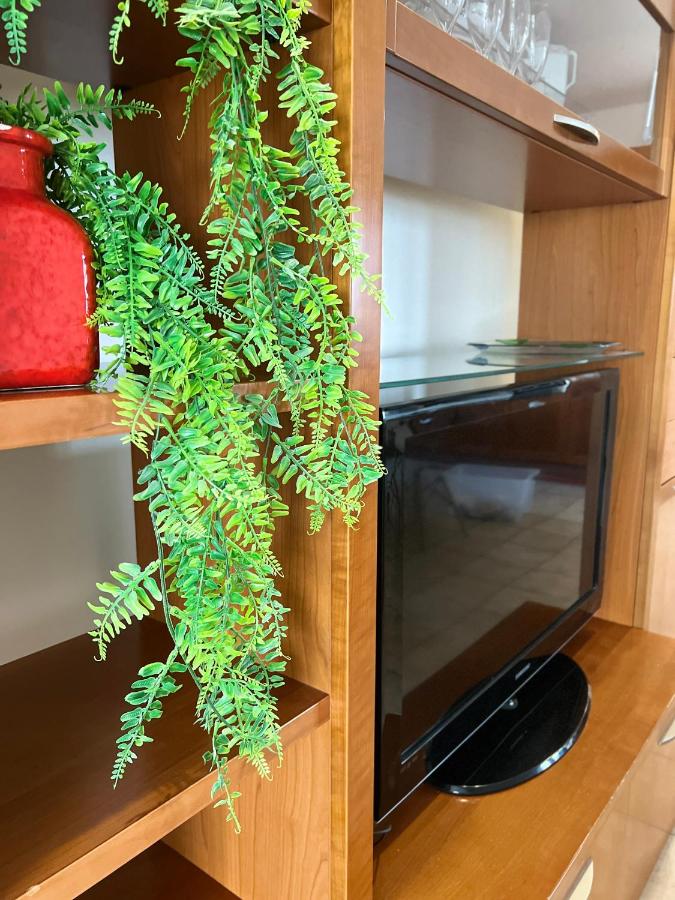 Skyscraper Apartment Pontedera - 5