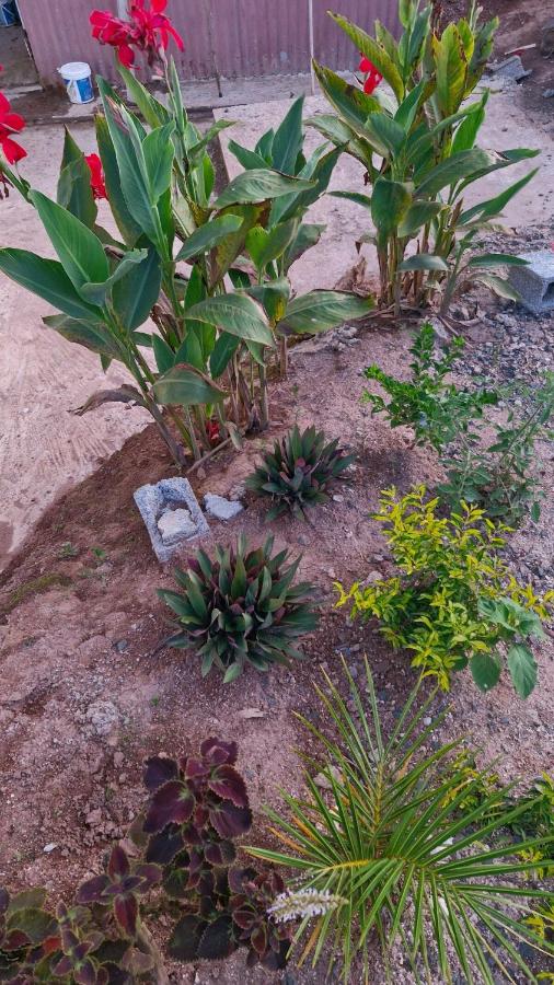 Wendy Kaylian Studio - 2