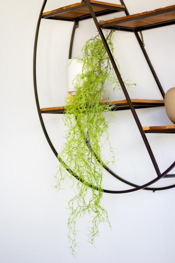 1 BDR Heated Pool- Fitness Center- 24 hr Gated - 2