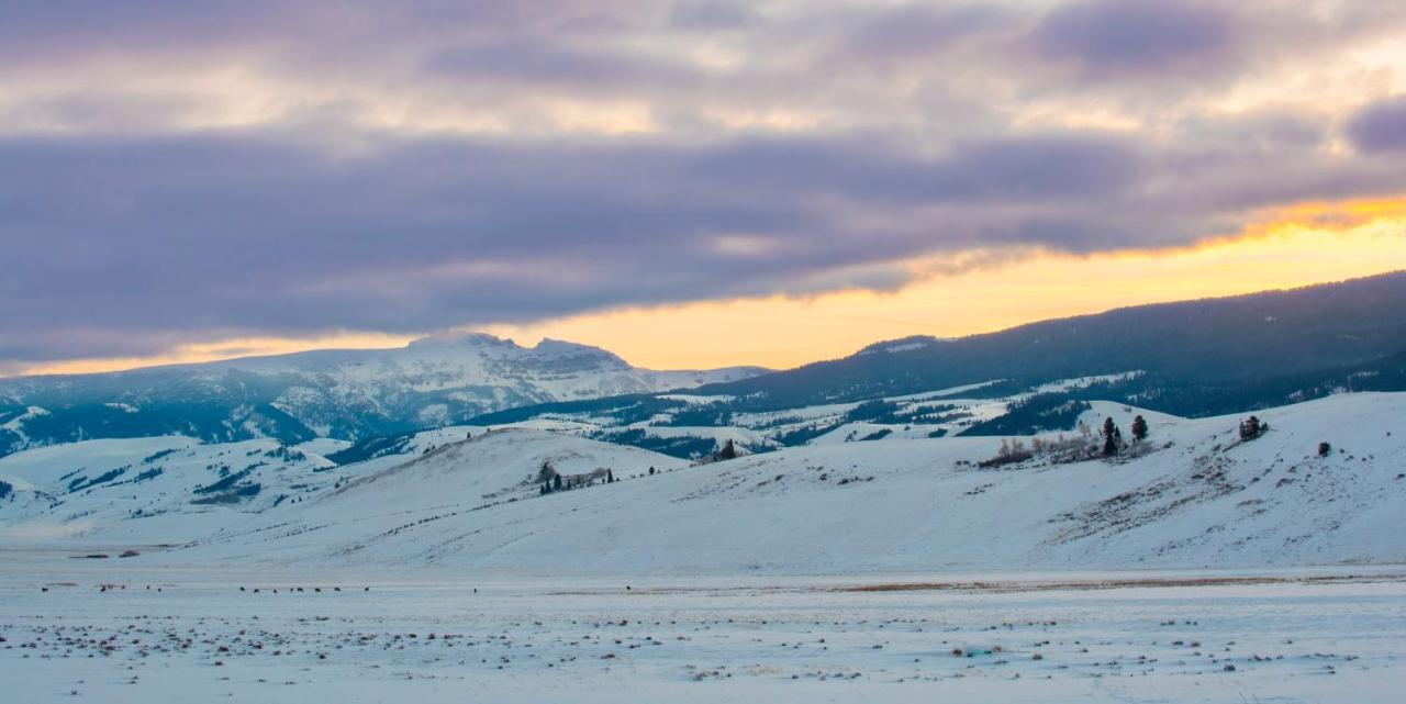 Elk Refuge Inn — photo 21