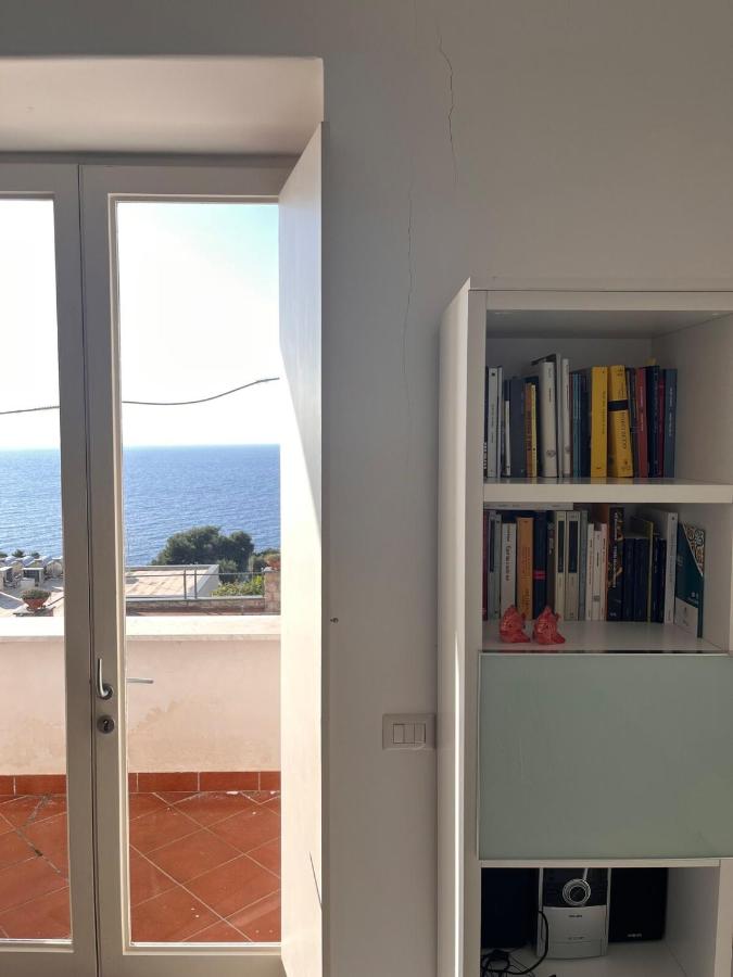 Apartment in Villa Argentina - 2