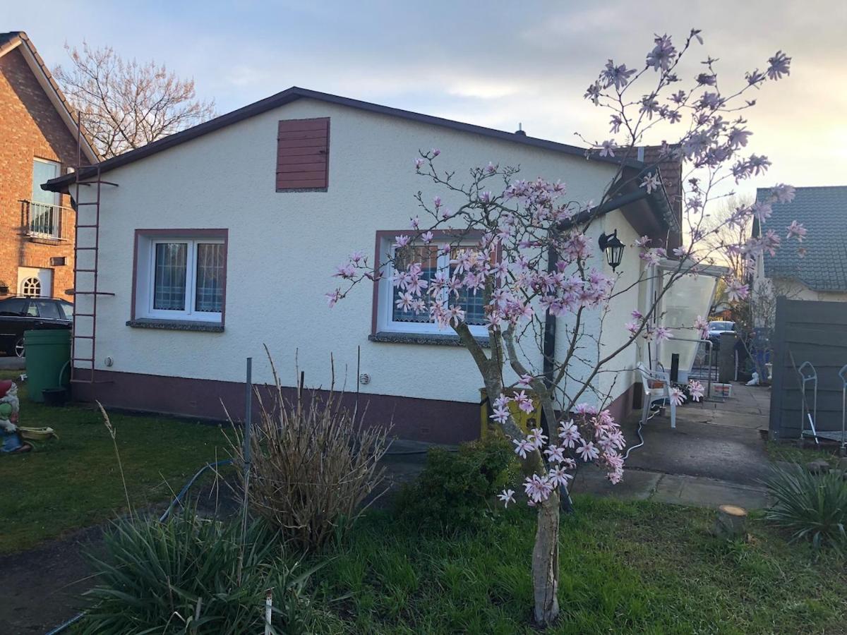 Gästehaus mit Garten
