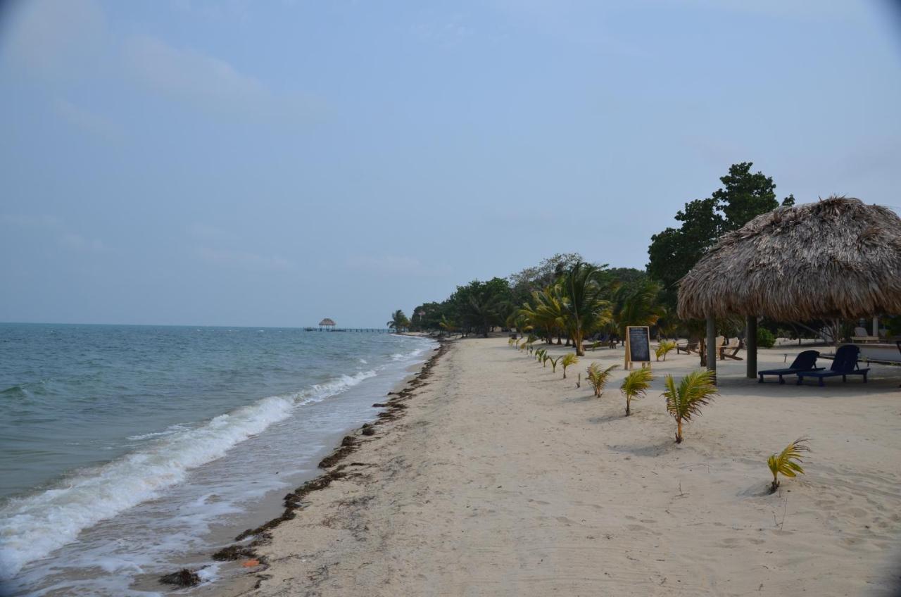 Beach: Mariposa Belize Beach Resort