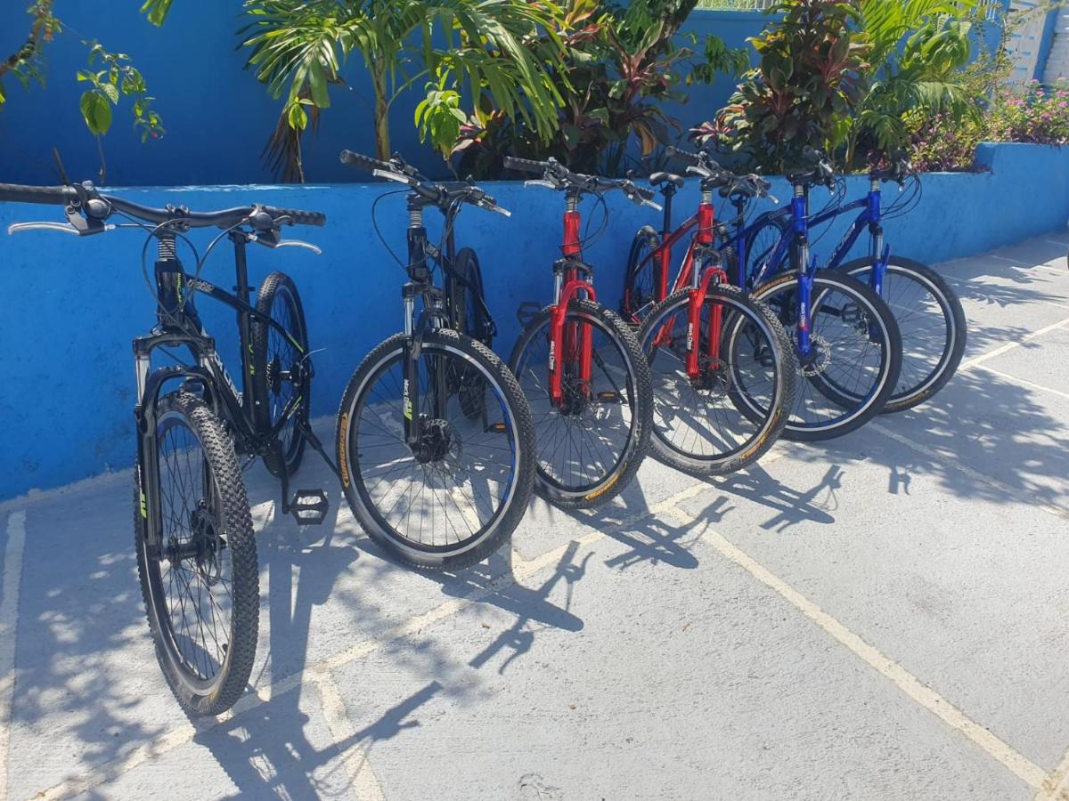 Izzy Room - Ferdie's Place - 5