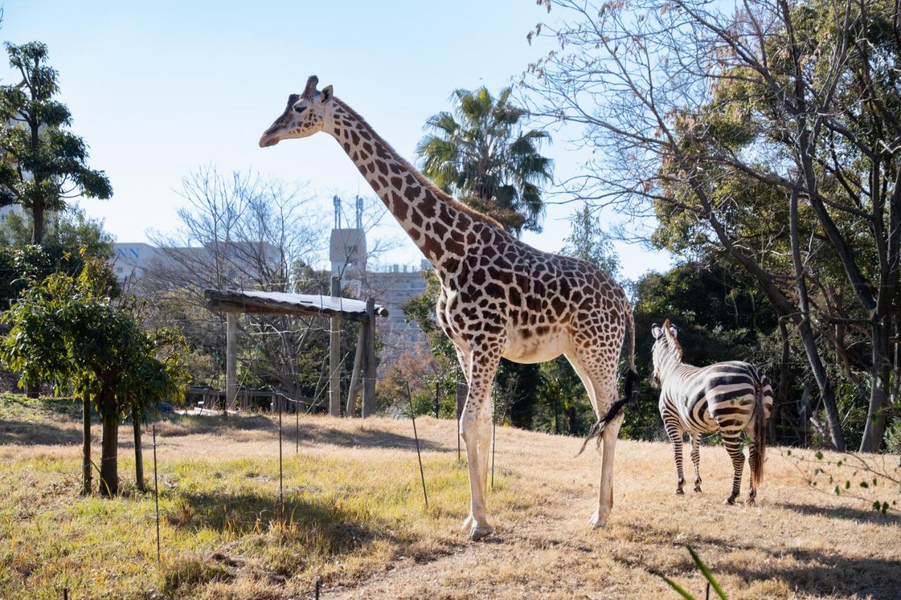 Namba Shinsaibashi 10 mins Osaka Castle　East - 2