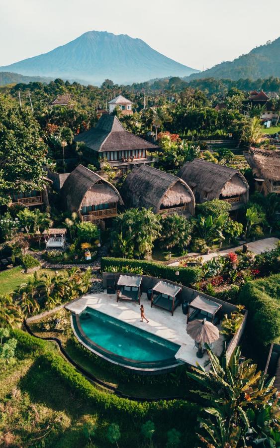 Samanvaya - Adults Only - 2