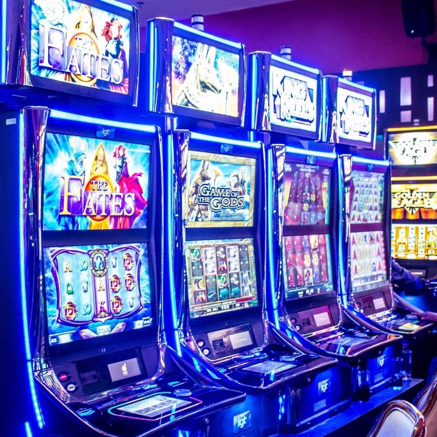 Guest Suite w free parking at 7 min to Miami international airport - 5