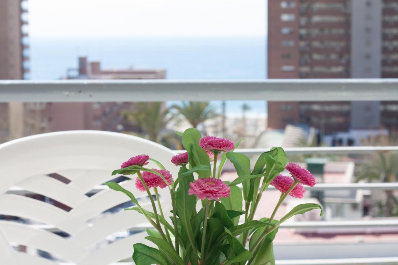 Apartamentos Niza, Benidorm – Bijgewerkte prijzen 2022