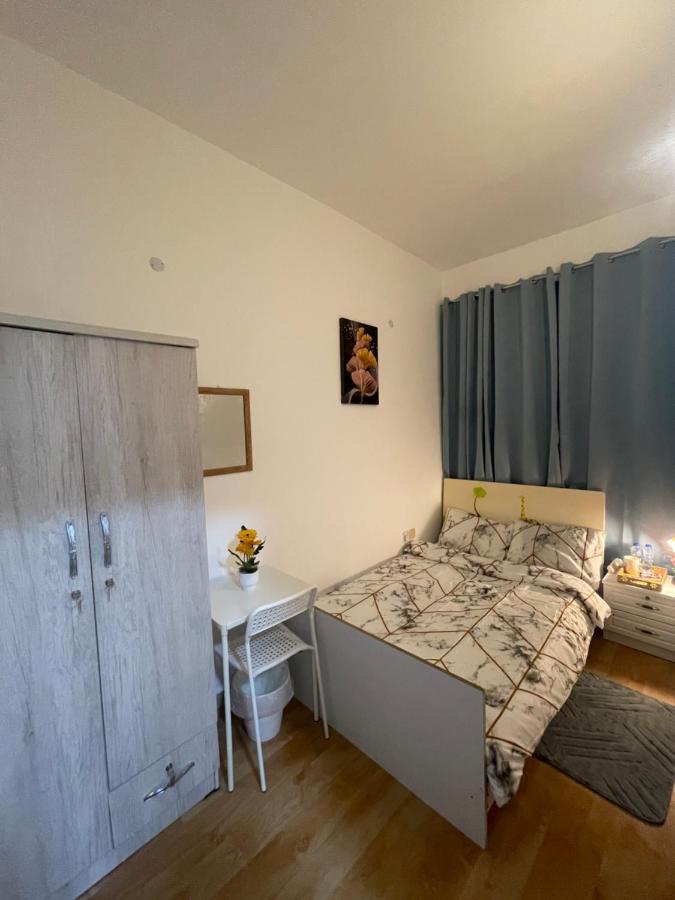 Orchid International - 5