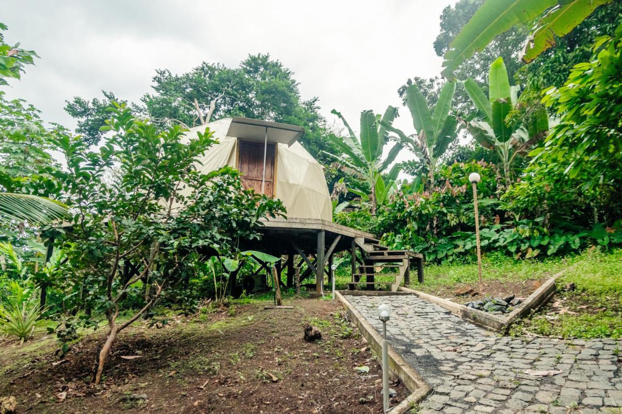 The Garden of Eden Eco Lodge — photo 6