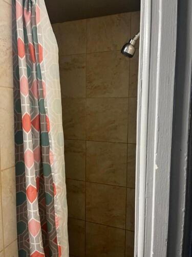 American Inn — photo 11