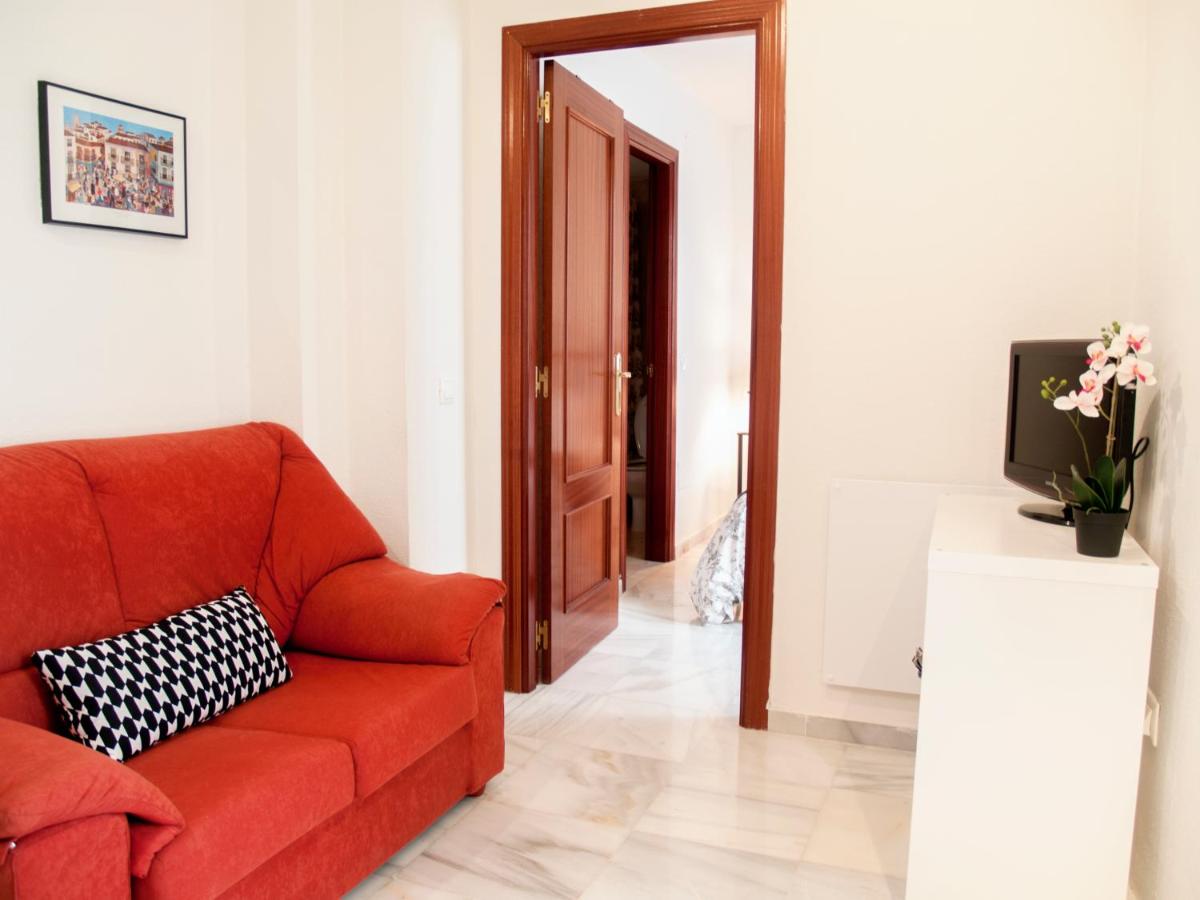 Fan Flat Rosaleda - 4