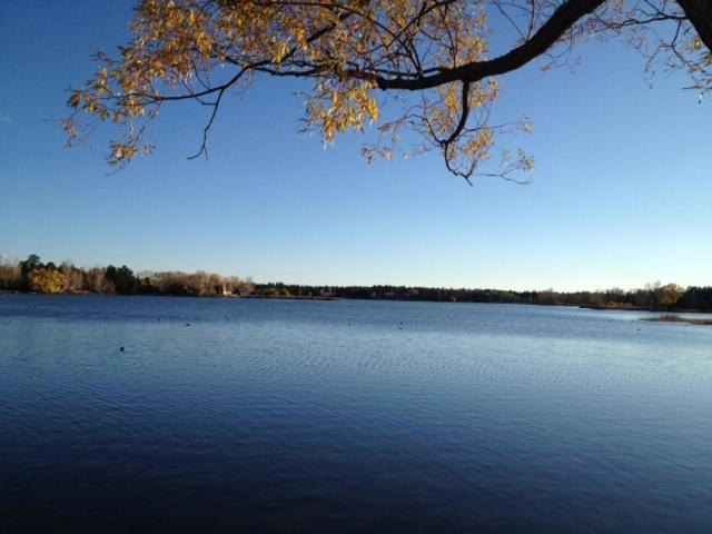 Rainbows End Fishing Resort — photo 16