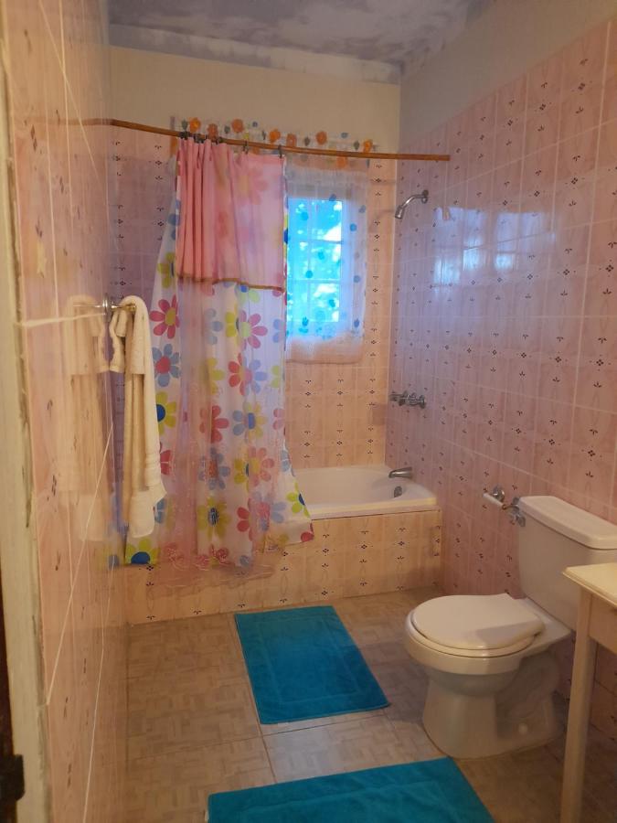 Jamaica Villa Sweetsop & Tours - 3