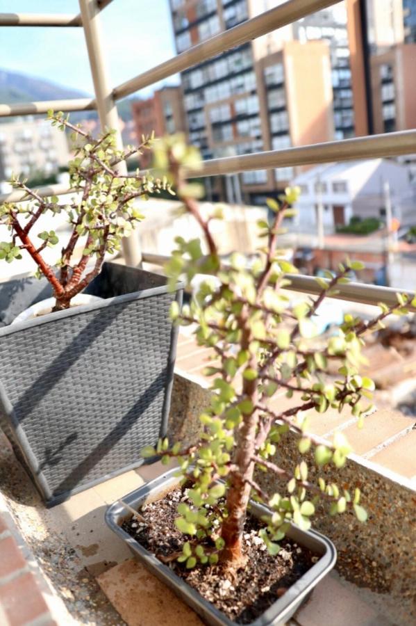 Wonderful place in Usaquen! - 3