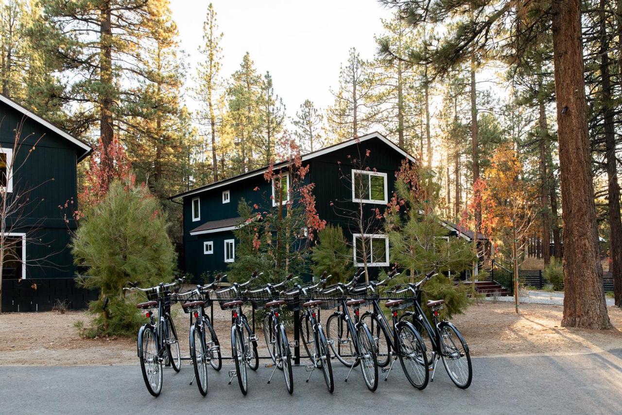 NP Boutique Lodge — photo 23