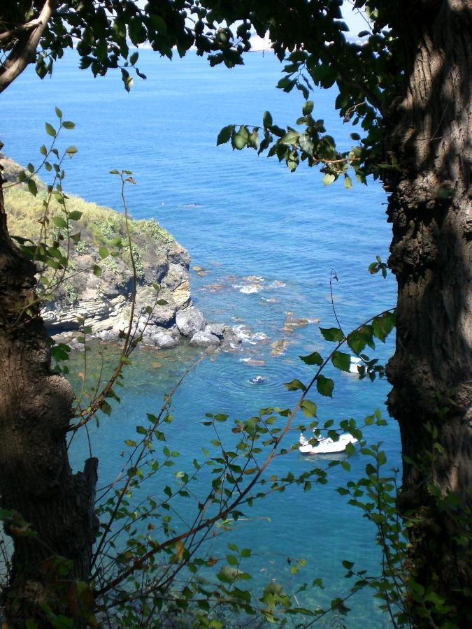 Albergo 'La Vigna' photo