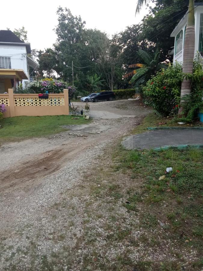 Colorful Private Room Oasis - 5