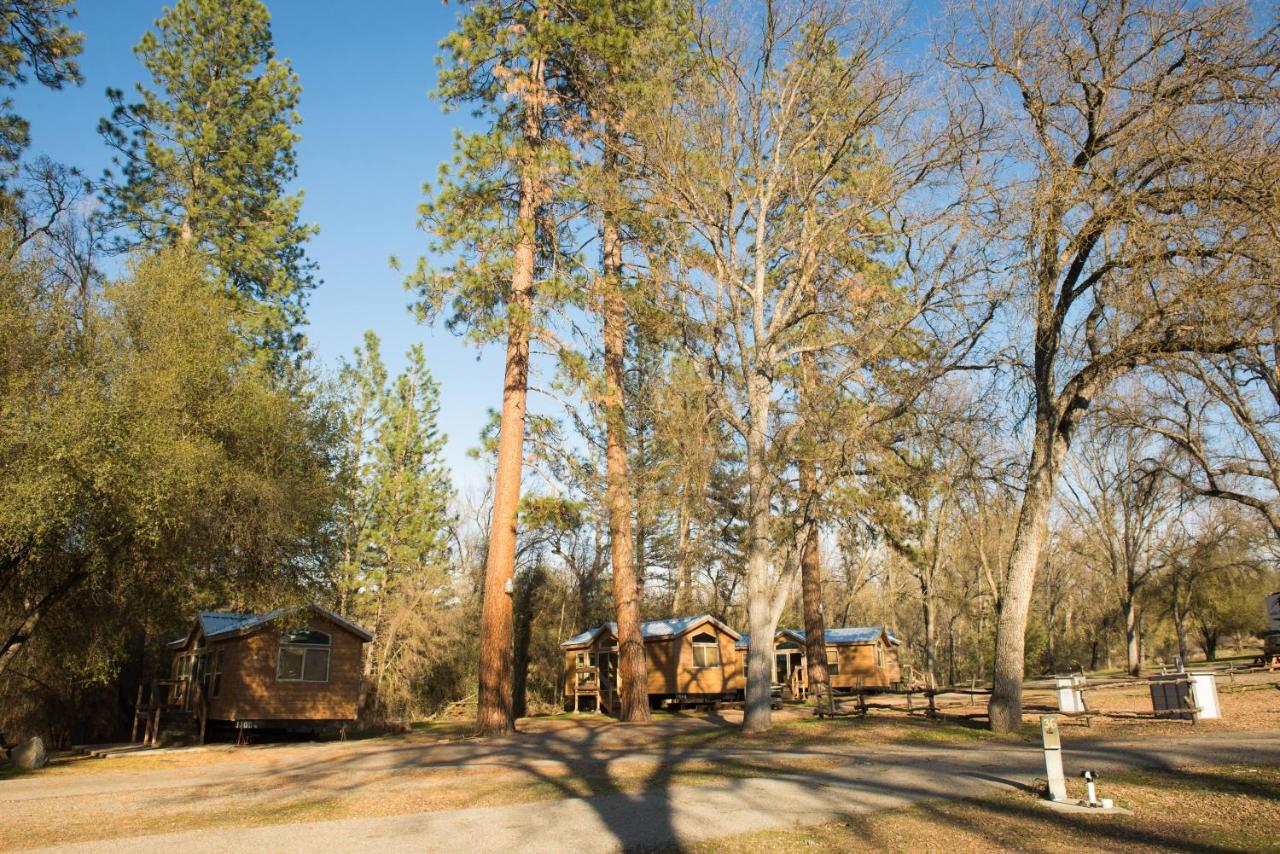 Sierra Meadows — photo 8
